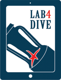 lab4dive